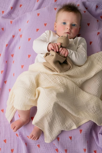 Swaddle Gift Set | Purple Hearts
