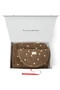 Essentials Teddy Gift Set | Brown Hearts
